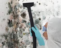 Best Attic Mold Removal  in Palm Beach Shores, FL